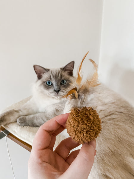 Plush Feather Ball (Set of 3)